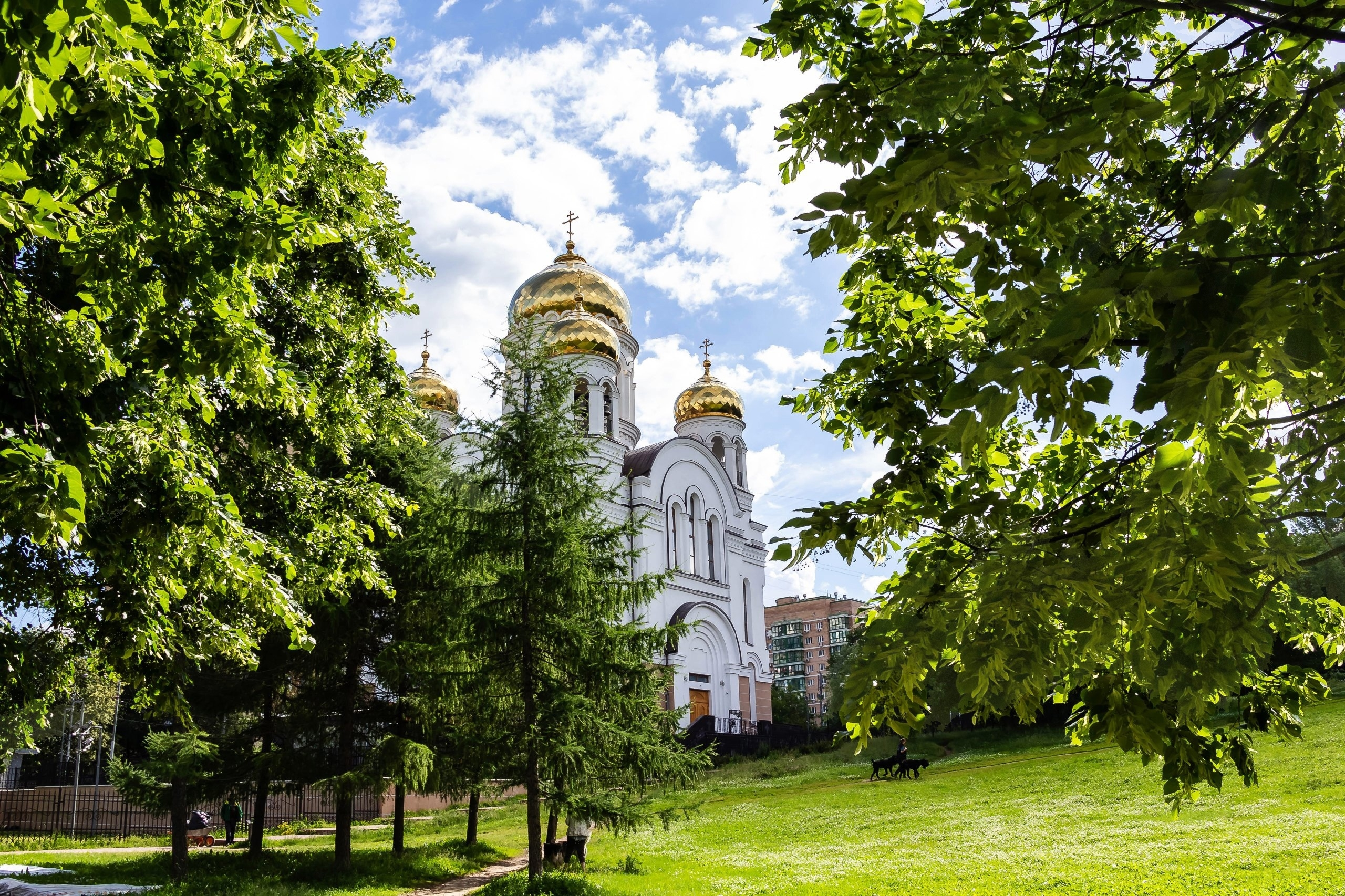Главная