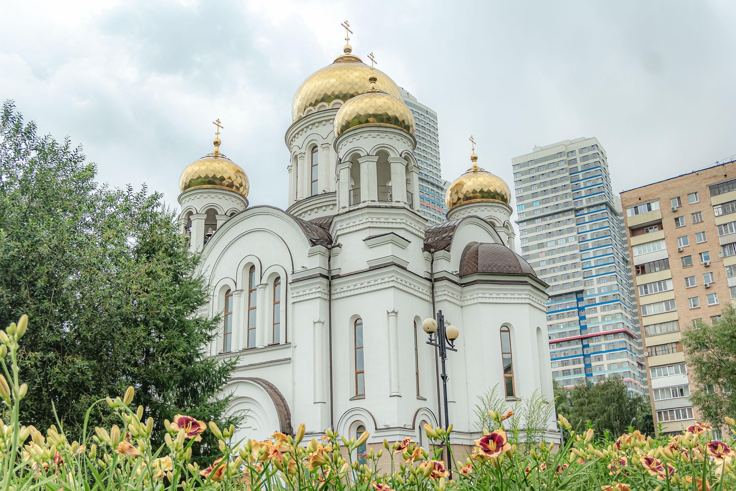 Главная