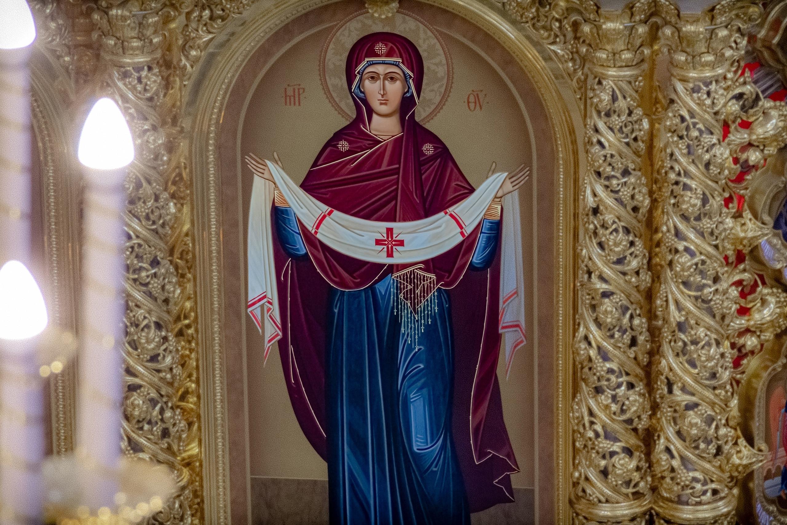 Главная