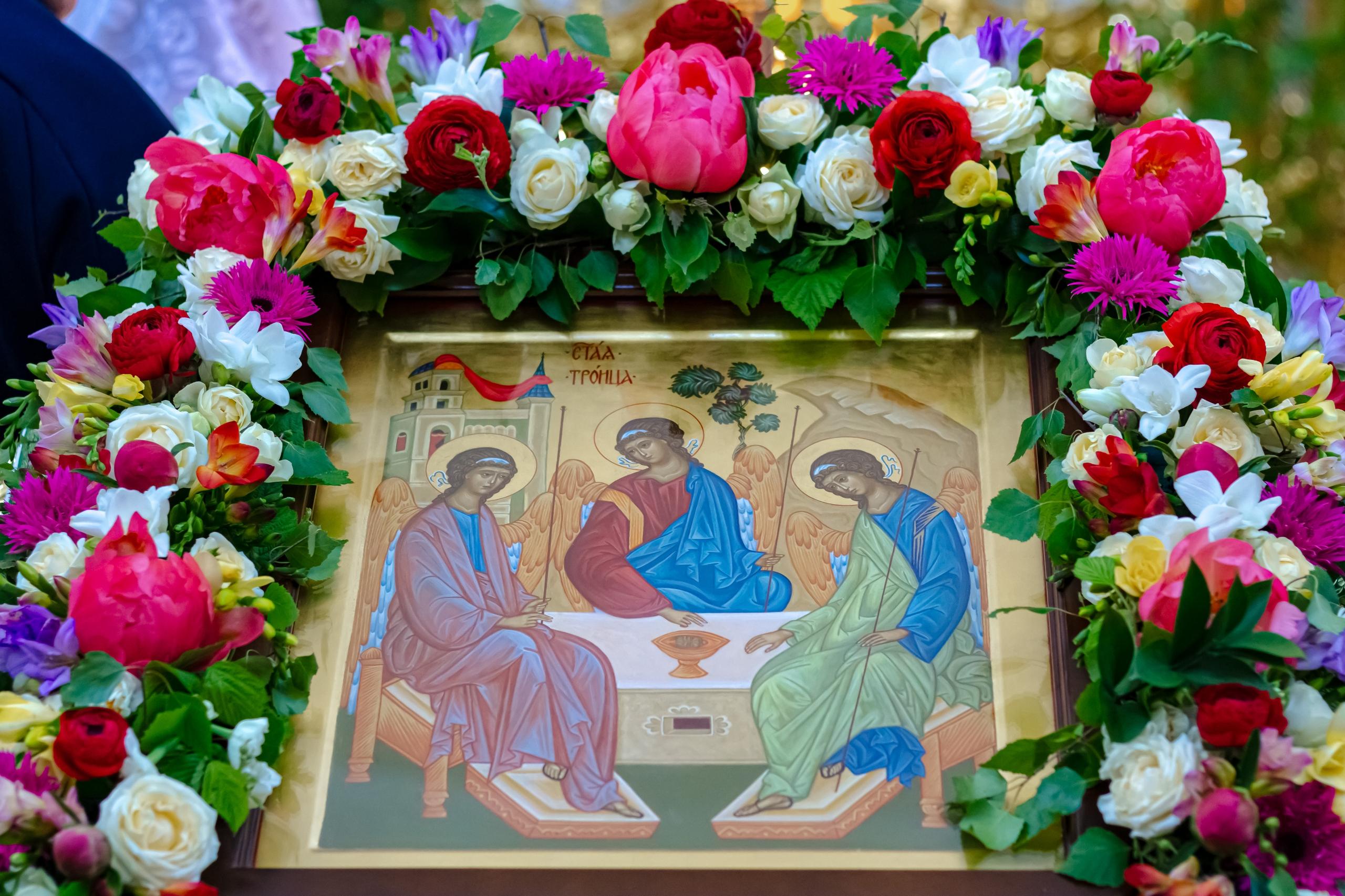 Главная