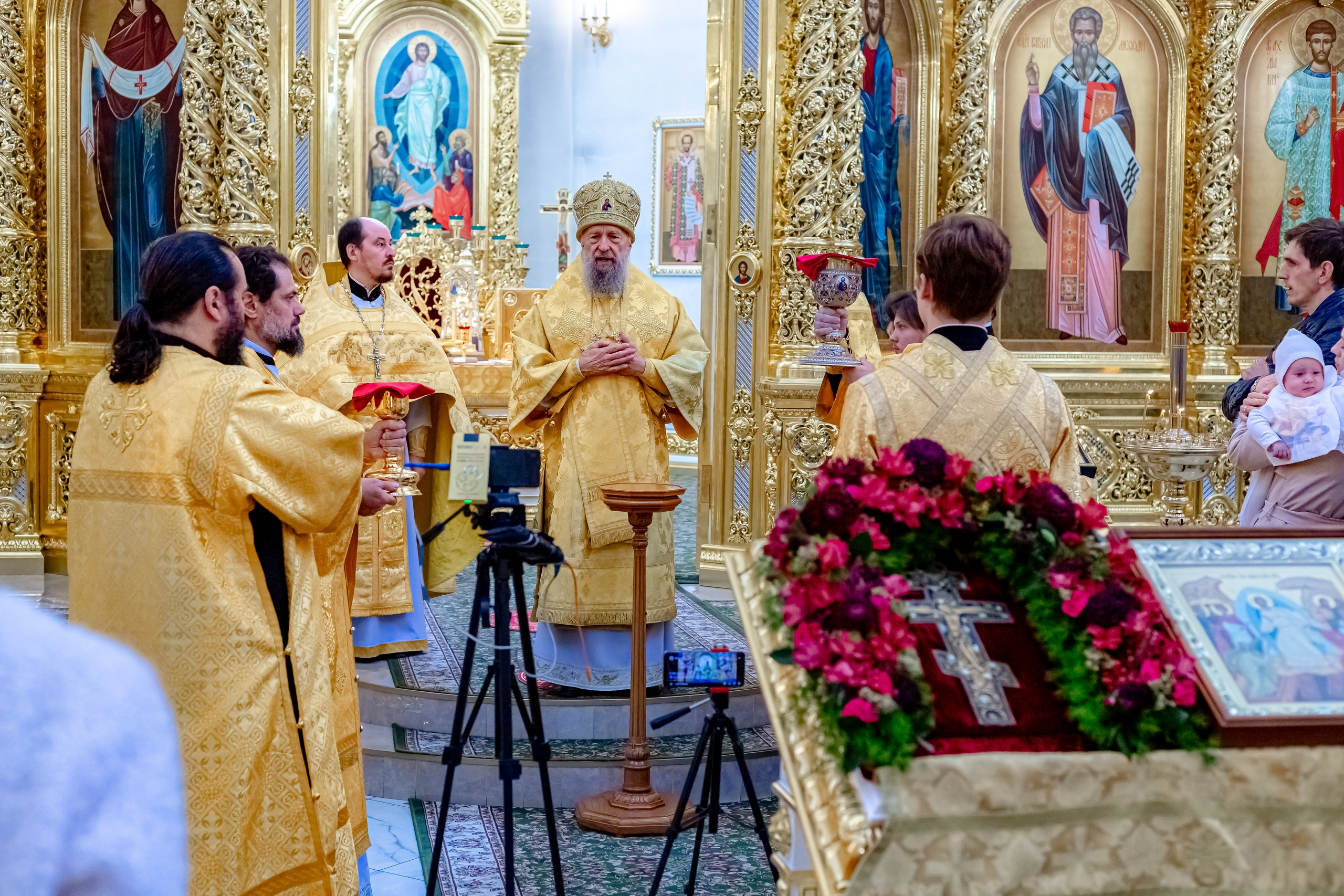 Главная