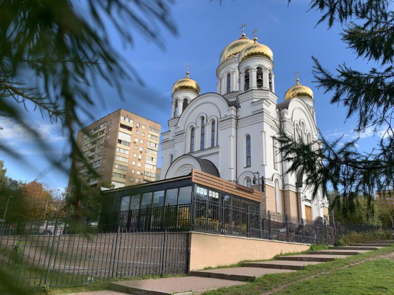Черновик